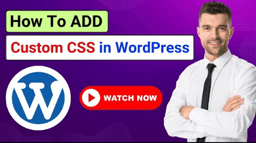 Become a WordPress Developer: Unlocking Power With CSS Code